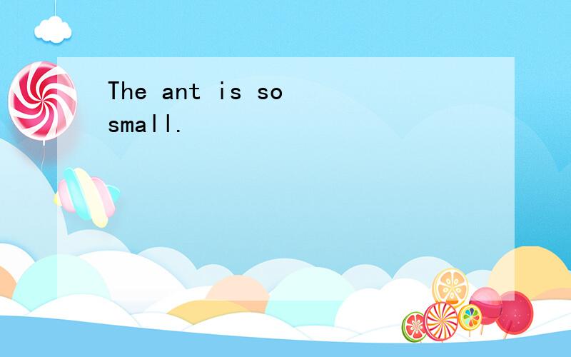 The ant is so small.