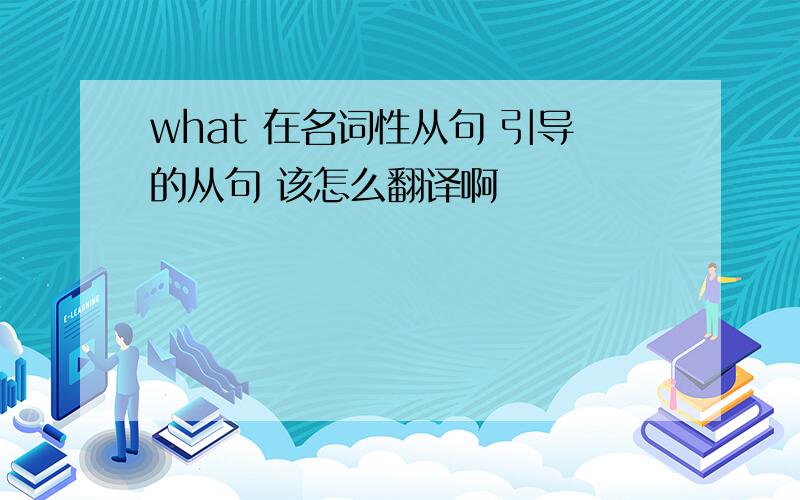 what 在名词性从句 引导的从句 该怎么翻译啊