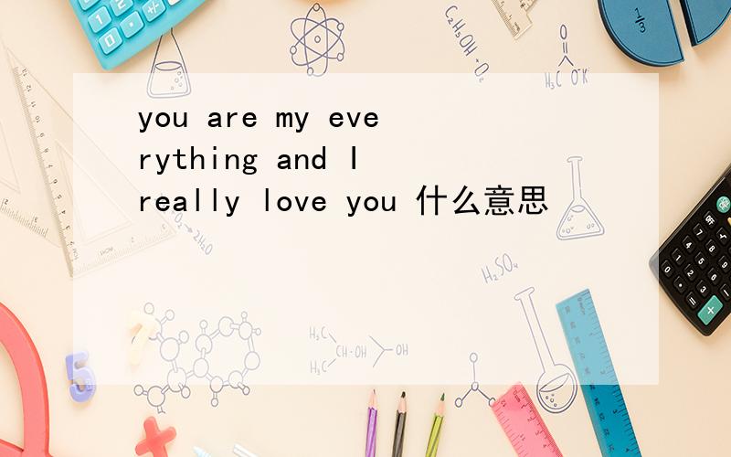 you are my everything and I really love you 什么意思
