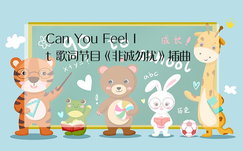 Can You Feel It 歌词节目《非诚勿扰》插曲