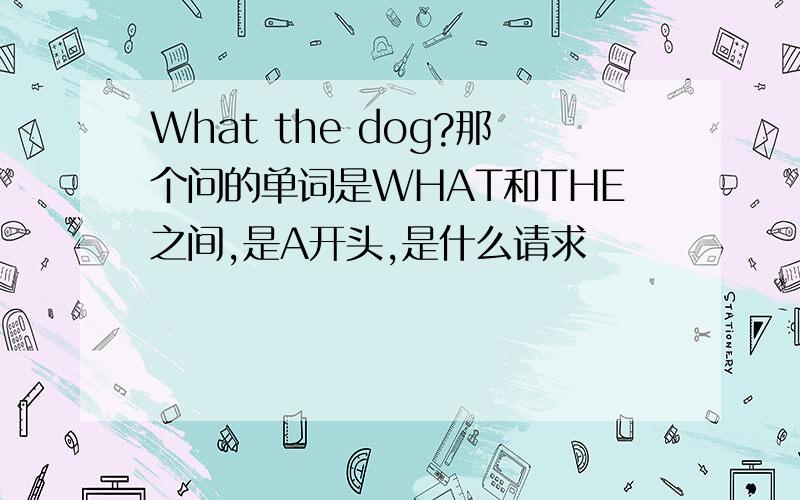 What the dog?那个问的单词是WHAT和THE之间,是A开头,是什么请求