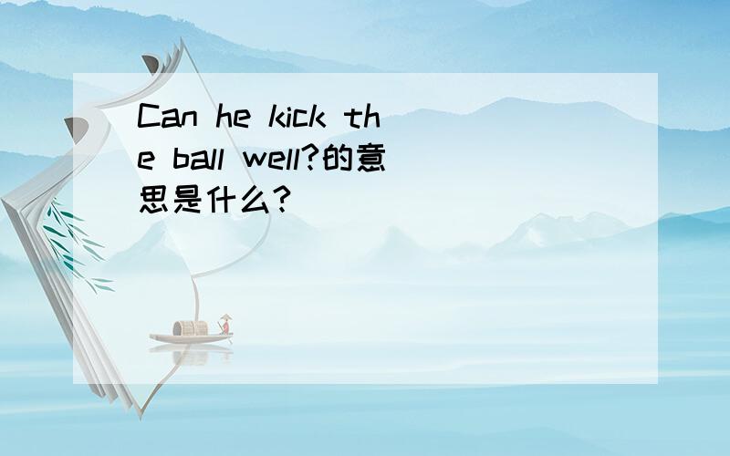 Can he kick the ball well?的意思是什么?