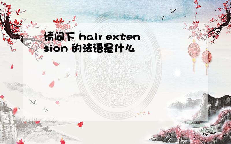 请问下 hair extension 的法语是什么