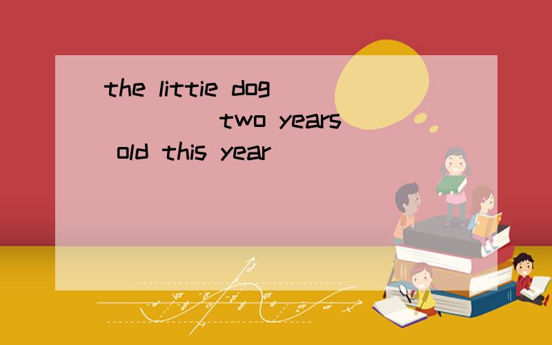 the littie dog ____two years old this year