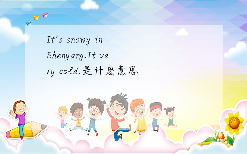 It's snowy in Shenyang.It very cold.是什麽意思