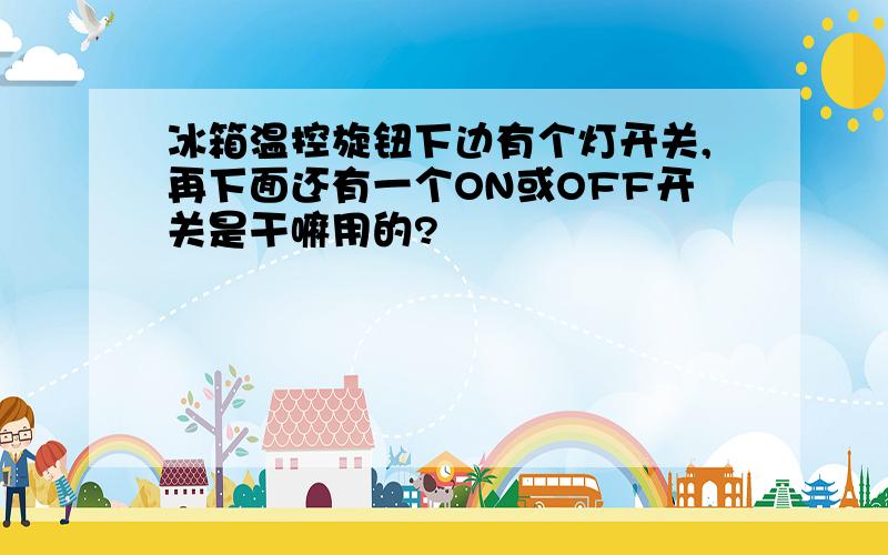 冰箱温控旋钮下边有个灯开关,再下面还有一个ON或OFF开关是干嘛用的?