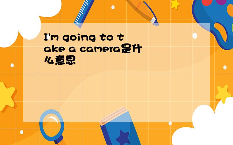 I'm going to take a camera是什么意思