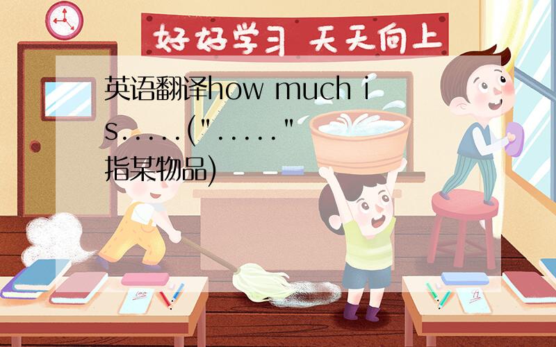 英语翻译how much is.....(