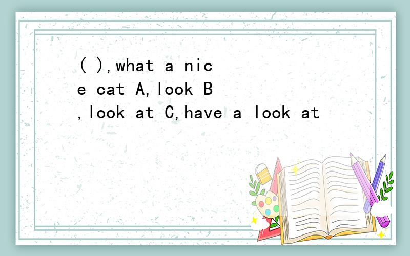 ( ),what a nice cat A,look B,look at C,have a look at