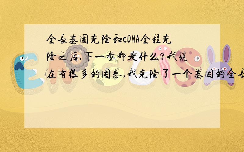 全长基因克隆和cDNA全程克隆之后,下一步都是什么?我现在有很多的困惑,我克隆了一个基因的全长,然后又克隆了它的cDNA的全长,我想知道,两种克隆下来可以继续做什么实验,能得到什么样的结