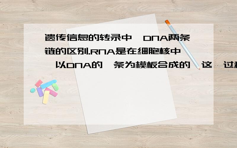 遗传信息的转录中,DNA两条链的区别.RNA是在细胞核中,以DNA的一条为模板合成的,这一过程为转录.两股DNA单链中只有一股可转录,可作为模板转录成RNA的一股称为模板链,对应的一股互补链称为编