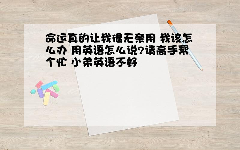 命运真的让我很无奈用 我该怎么办 用英语怎么说?请高手帮个忙 小弟英语不好