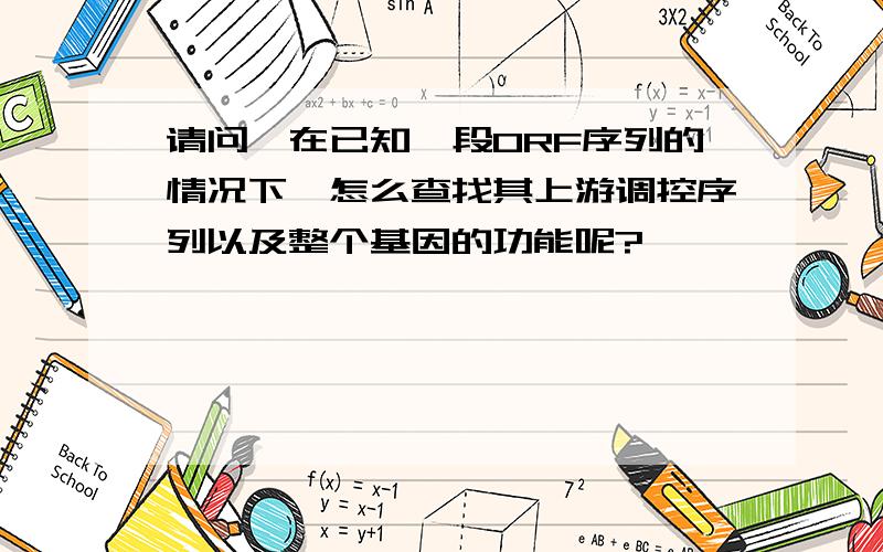 请问,在已知一段ORF序列的情况下,怎么查找其上游调控序列以及整个基因的功能呢?