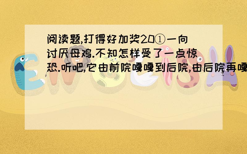 阅读题,打得好加奖20①一向讨厌母鸡.不知怎样受了一点惊恐.听吧,它由前院嘎嘎到后院,由后院再嘎嘎到前院,没结没完,而并没有什么理由；讨厌!有的时候,它不这样乱叫,可是细声细气的,有什