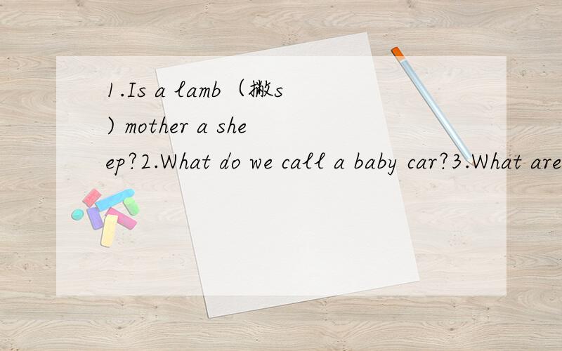 1.Is a lamb（撇s) mother a sheep?2.What do we call a baby car?3.What are those?4.Can you ride a bike?5.What is this in English?6.Are they Chinese books?7.Can a lion climb up a ladder?8.What can you do?