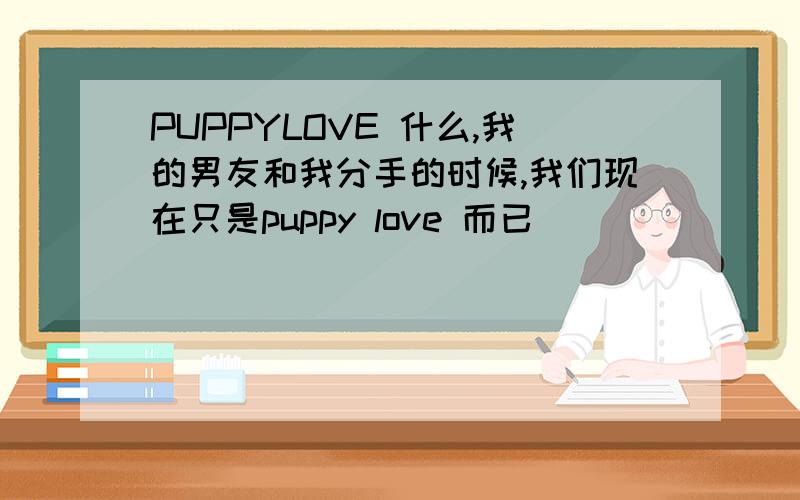 PUPPYLOVE 什么,我的男友和我分手的时候,我们现在只是puppy love 而已