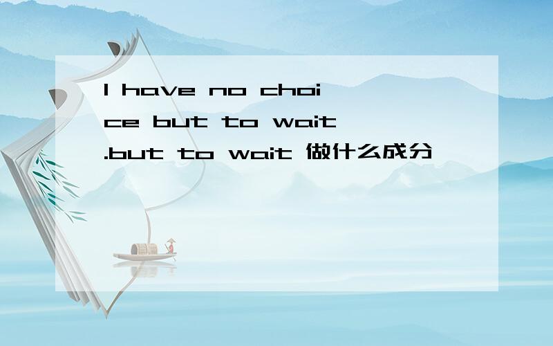 I have no choice but to wait.but to wait 做什么成分,