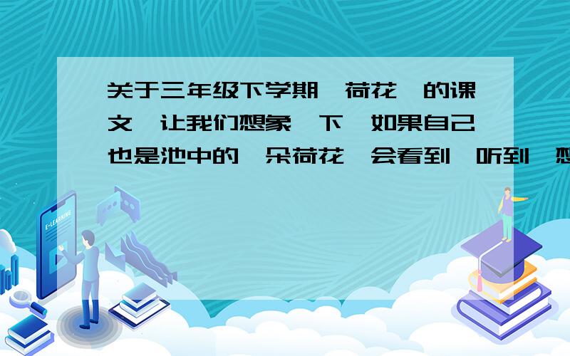 关于三年级下学期《荷花》的课文,让我们想象一下,如果自己也是池中的一朵荷花,会看到,听到,想到些什