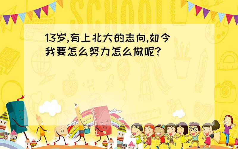 13岁,有上北大的志向,如今我要怎么努力怎么做呢?