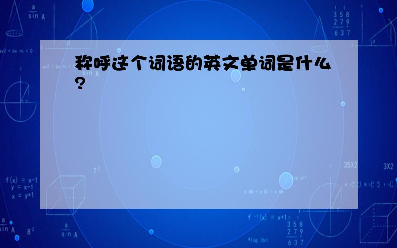 称呼这个词语的英文单词是什么?