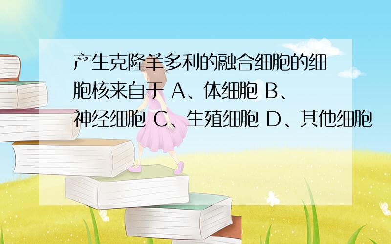 产生克隆羊多利的融合细胞的细胞核来自于 A、体细胞 B、神经细胞 C、生殖细胞 D、其他细胞