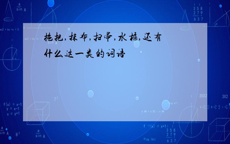 拖把,抹布,扫帚,水桶,还有什么这一类的词语