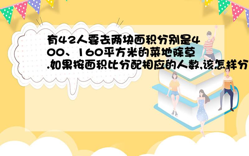 有42人要去两块面积分别是400、160平方米的菜地除草.如果按面积比分配相应的人数,该怎样分配人数?