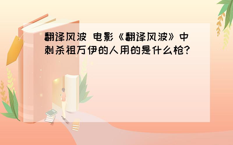 翻译风波 电影《翻译风波》中刺杀祖万伊的人用的是什么枪?