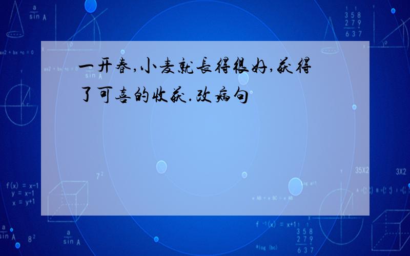 一开春,小麦就长得很好,获得了可喜的收获.改病句