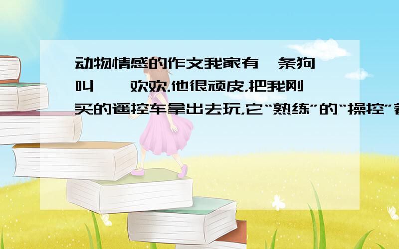 动物情感的作文我家有一条狗 叫——欢欢.他很顽皮，把我刚买的遥控车拿出去玩，它“熟练”的“操控”着，车子左冲右撞，我赶忙去阻止，可它却跟我玩起捉迷藏。过来一会，它玩腻了