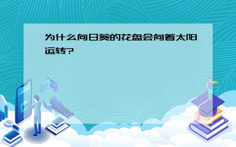 为什么向日葵的花盘会向着太阳运转?