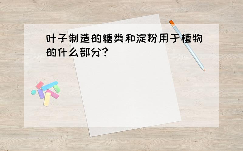 叶子制造的糖类和淀粉用于植物的什么部分?