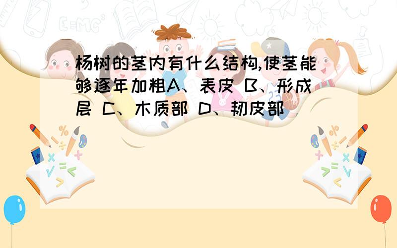 杨树的茎内有什么结构,使茎能够逐年加粗A、表皮 B、形成层 C、木质部 D、韧皮部