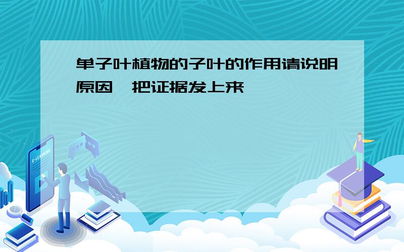 单子叶植物的子叶的作用请说明原因,把证据发上来