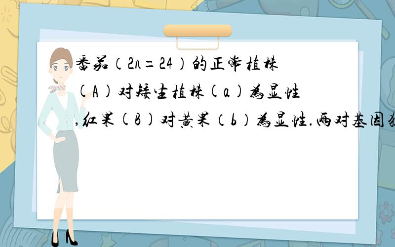 番茄（2n=24）的正常植株(A)对矮生植株(a)为显性,红果(B)对黄果（b）为显性.两对基因独立遗传现有基因型AaBb和aaBb的番茄杂交,其后代的基因型有 ___ 种,___ 基因型的植株自交产生的矮生黄果植