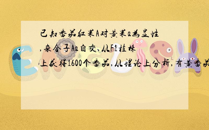 已知番茄红果A对黄果a为显性,杂合子Aa自交,从F1植株上获得1600个番茄,从理论上分析,有黄番茄几个.Aa自交,F1不是应该符合分离定律吗?是我哪里理解错了~