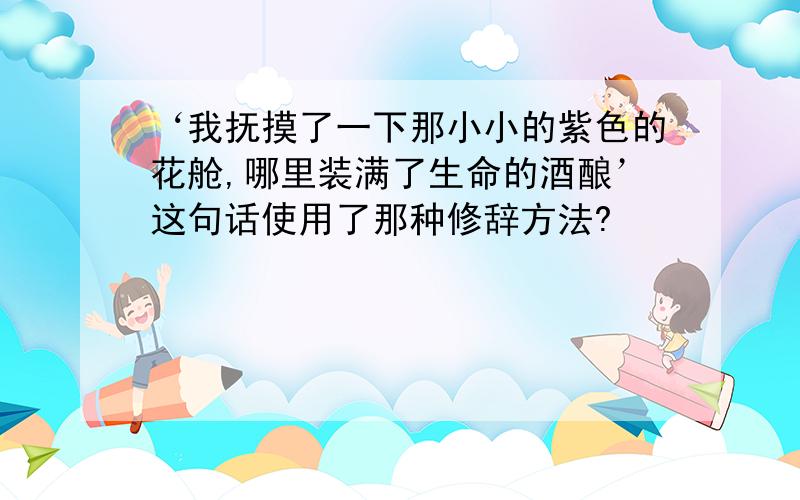 ‘我抚摸了一下那小小的紫色的花舱,哪里装满了生命的酒酿’这句话使用了那种修辞方法?