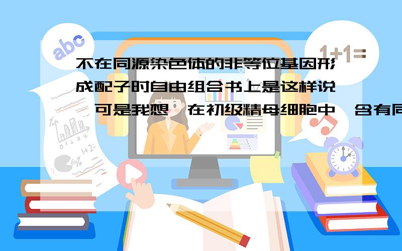 不在同源染色体的非等位基因形成配子时自由组合书上是这样说,可是我想,在初级精母细胞中,含有同源染色体不是吗?在形成次级精母细胞的时候,同源染色体分离.假设有两对同源染色体,他们