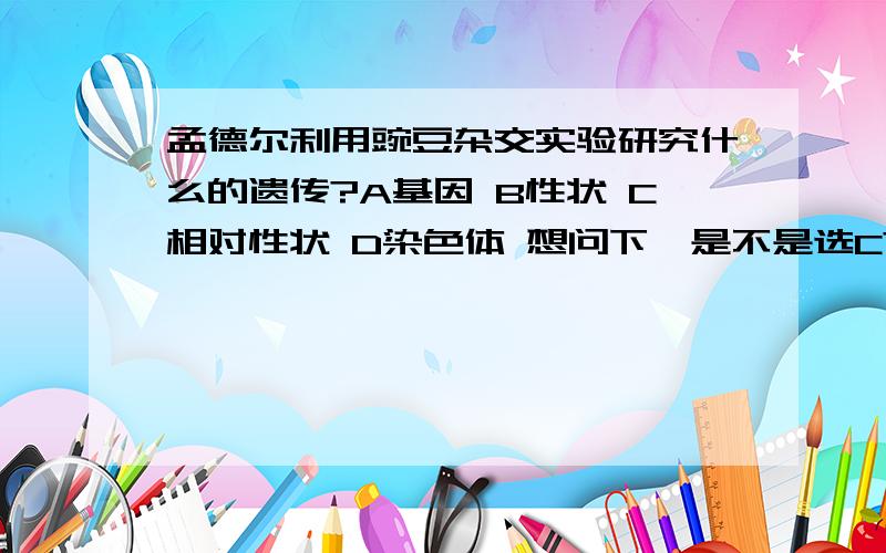 孟德尔利用豌豆杂交实验研究什么的遗传?A基因 B性状 C相对性状 D染色体 想问下,是不是选C?