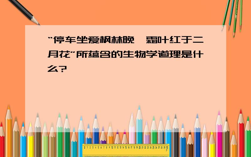 “停车坐爱枫林晚,霜叶红于二月花”所蕴含的生物学道理是什么?