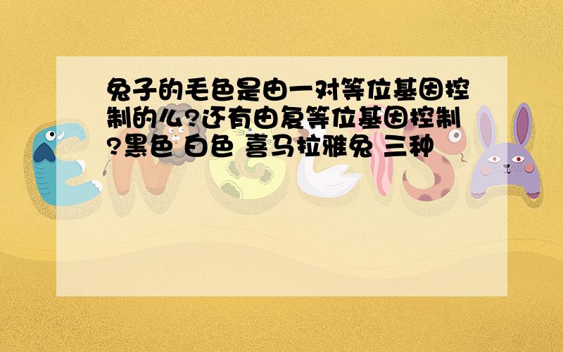 兔子的毛色是由一对等位基因控制的么?还有由复等位基因控制?黑色 白色 喜马拉雅兔 三种