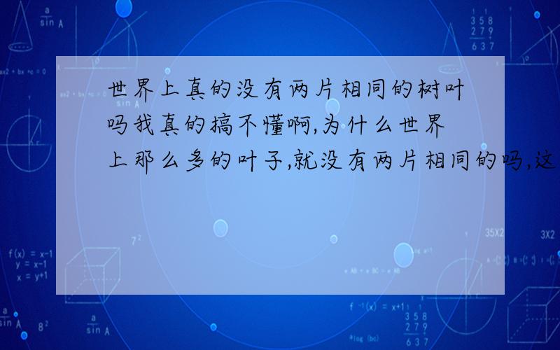 世界上真的没有两片相同的树叶吗我真的搞不懂啊,为什么世界上那么多的叶子,就没有两片相同的吗,这是真的还是假的啊,换了是你,你想信吗