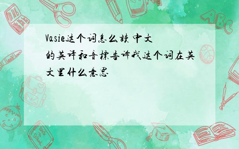 Vasie这个词怎么读 中文的英译和音标告诉我这个词在英文里什么意思
