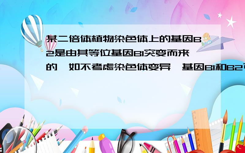 某二倍体植物染色体上的基因B2是由其等位基因B1突变而来的,如不考虑染色体变异,基因B1和B2可同时存在于同一个体细胞中或同一个配子中 为什么不对?