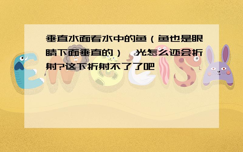 垂直水面看水中的鱼（鱼也是眼睛下面垂直的）,光怎么还会折射?这下折射不了了吧