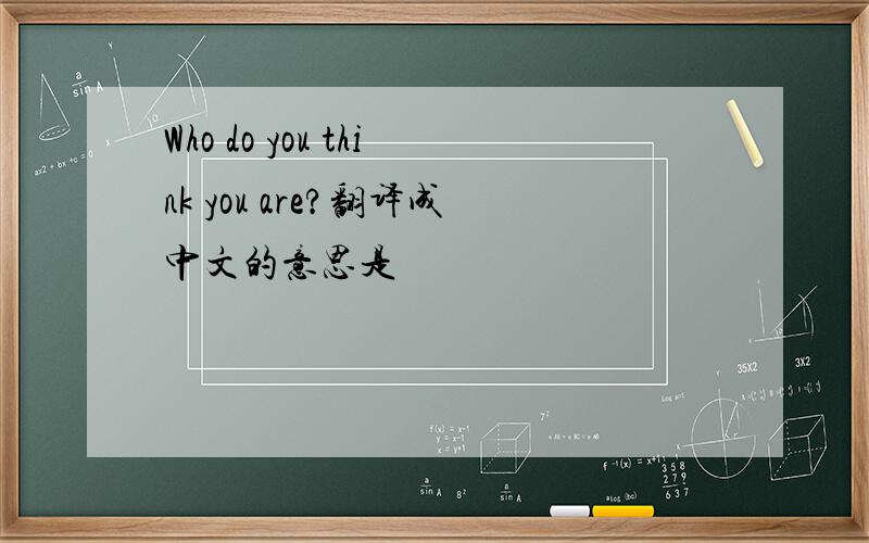 Who do you think you are?翻译成中文的意思是