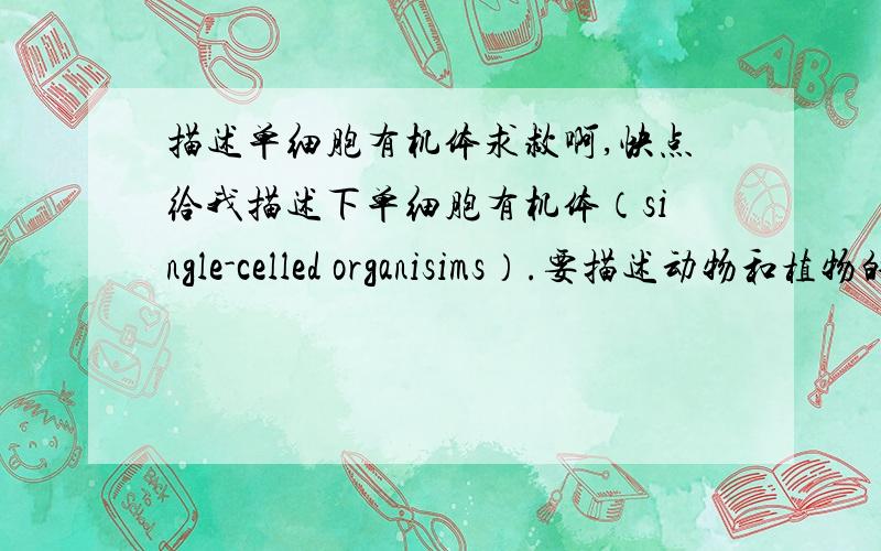 描述单细胞有机体求救啊,快点给我描述下单细胞有机体（single-celled organisims）.要描述动物和植物的.如果答得好的话,只要描述一下 动物单细胞有机体和植物单细胞啊有机体就行了，