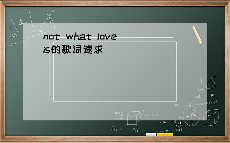not what love is的歌词速求