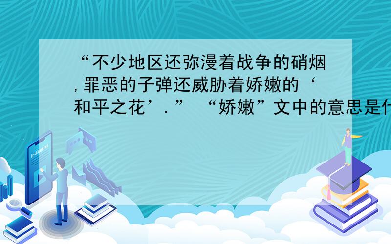 “不少地区还弥漫着战争的硝烟,罪恶的子弹还威胁着娇嫩的‘和平之花’.” “娇嫩”文中的意思是什么?