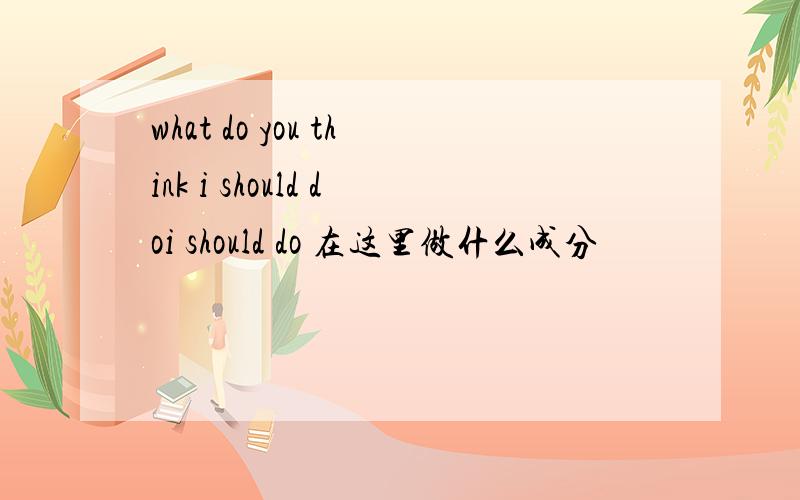 what do you think i should doi should do 在这里做什么成分